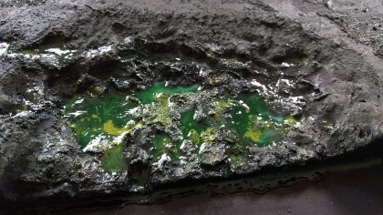 Making of Death Guard AoP Display