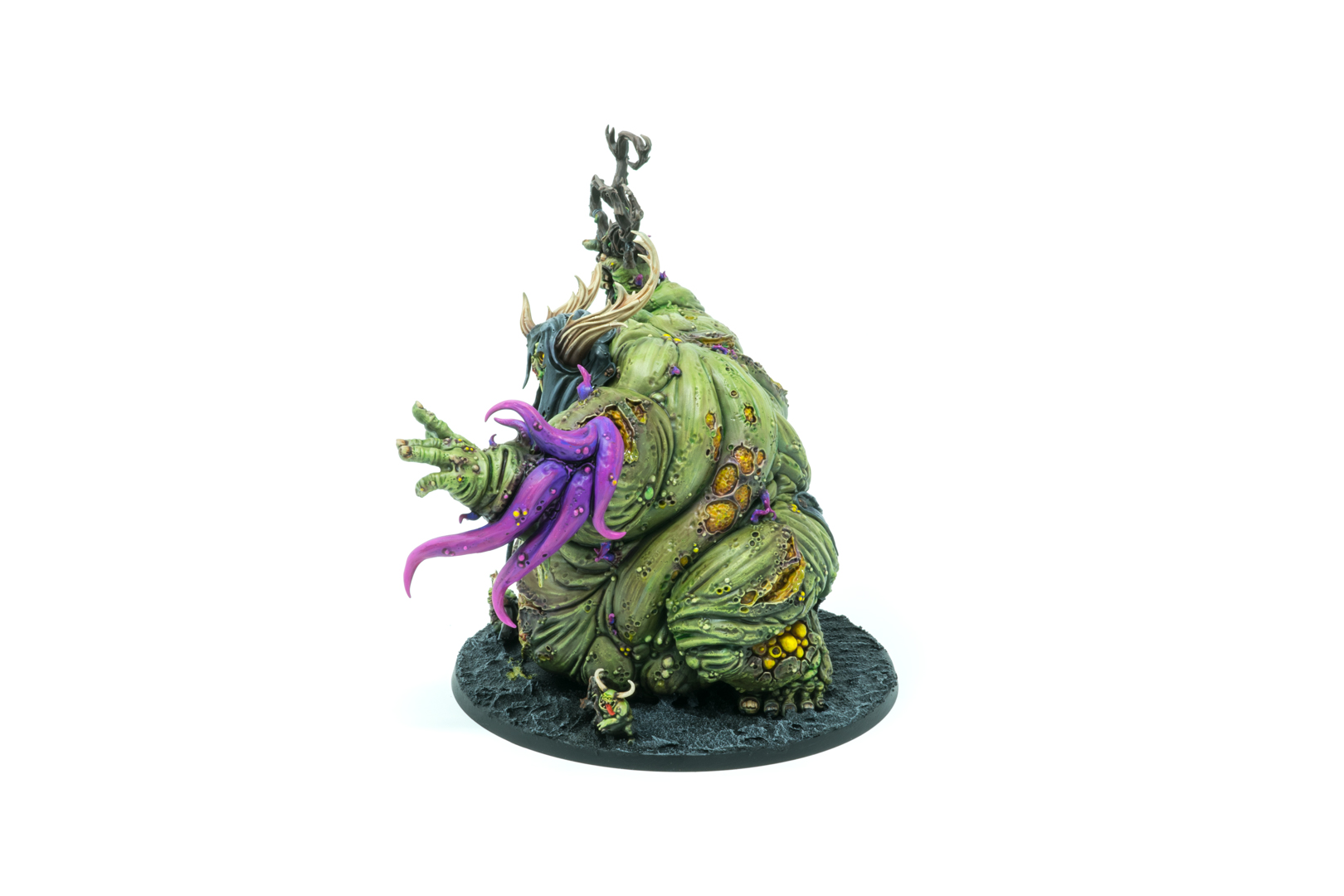 Rotigus